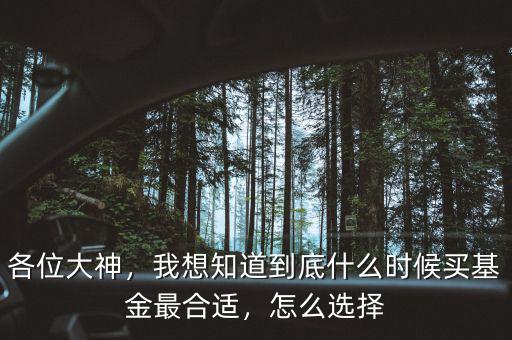 各位大神，我想知道到底什么時候買基金最合適，怎么選擇