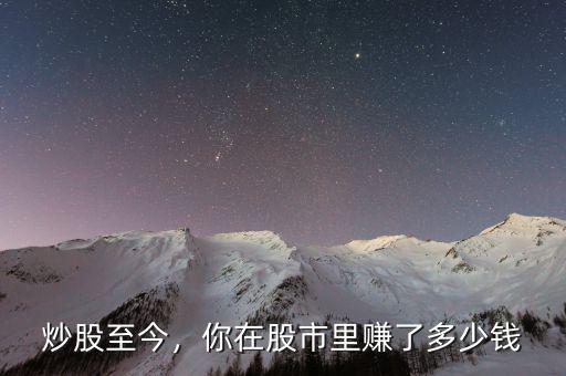 炒股至今，你在股市里賺了多少錢