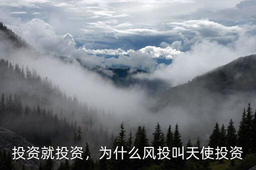 投資就投資，為什么風(fēng)投叫天使投資