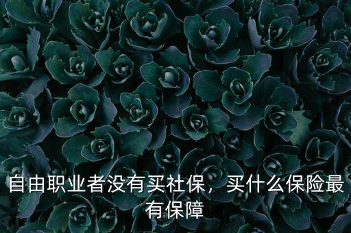 自由職業(yè)者沒有買社保，買什么保險最有保障