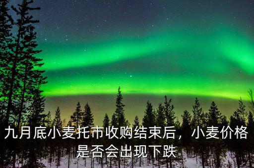 九月底小麥托市收購結(jié)束后，小麥價格是否會出現(xiàn)下跌