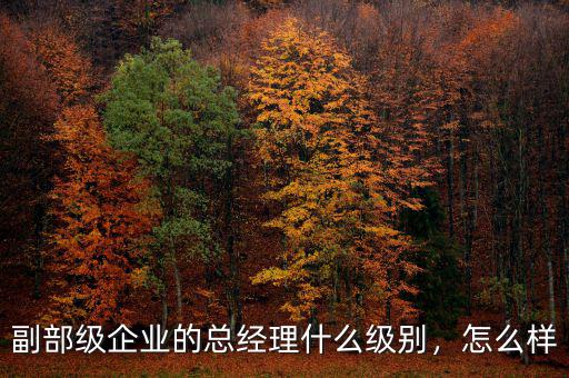 副部級(jí)企業(yè)的總經(jīng)理什么級(jí)別，怎么樣