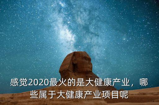 感覺2020最火的是大健康產(chǎn)業(yè)，哪些屬于大健康產(chǎn)業(yè)項目呢