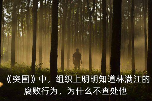 《突圍》中，組織上明明知道林滿江的腐敗行為，為什么不查處他