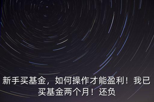 新手買基金，如何操作才能盈利！我已買基金兩個月！還負