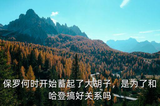 保羅何時(shí)開始蓄起了大胡子，是為了和哈登搞好關(guān)系嗎