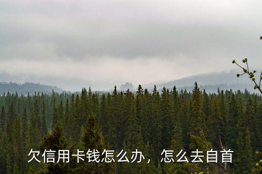 欠信用卡錢怎么辦，怎么去自首