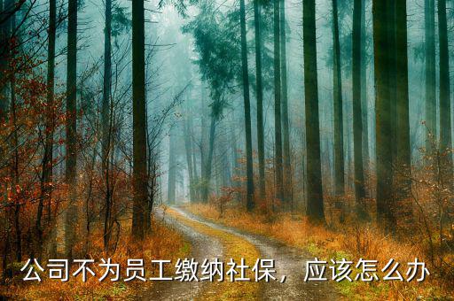 公司不為員工繳納社保，應(yīng)該怎么辦