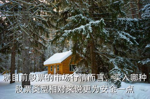 就目前股票的市場行情而言，買入哪種股票類型相對來說更為安全一點(diǎn)
