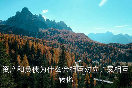 cube為什么會負債,資產和負債為什么會相互對立