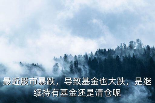 最近股市暴跌，導(dǎo)致基金也大跌，是繼續(xù)持有基金還是清倉(cāng)呢