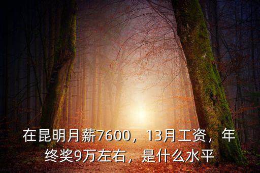 在昆明月薪7600，13月工資，年終獎9萬左右，是什么水平