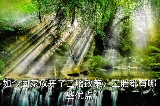 如今國(guó)家放開(kāi)了二胎政策，二胎都有哪些優(yōu)點(diǎn)
