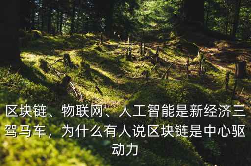 區(qū)塊鏈、物聯(lián)網(wǎng)、人工智能是新經(jīng)濟(jì)三駕馬車，為什么有人說(shuō)區(qū)塊鏈?zhǔn)侵行尿?qū)動(dòng)力