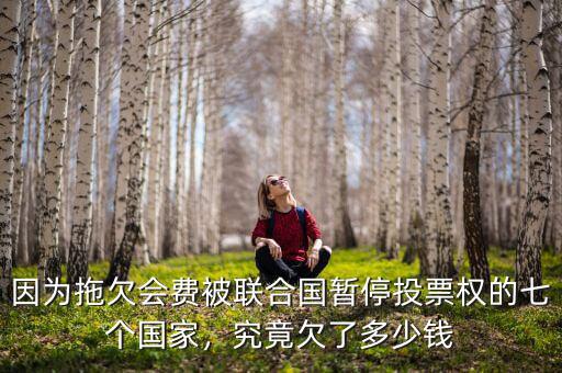 因為拖欠會費(fèi)被聯(lián)合國暫停投票權(quán)的七個國家，究竟欠了多少錢
