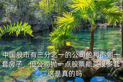 中國(guó)股市有三分之一的公司盈利不到一套房子，但公司拋一點(diǎn)股票能買很多套，這是真的嗎