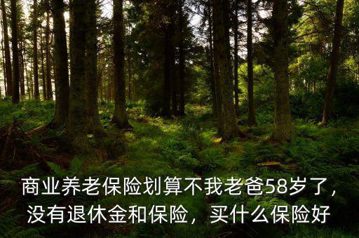商業(yè)養(yǎng)老保險(xiǎn)劃算不我老爸58歲了，沒(méi)有退休金和保險(xiǎn)，買(mǎi)什么保險(xiǎn)好