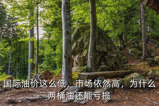 國際油價這么低，市場依然高，為什么兩桶油還能虧損