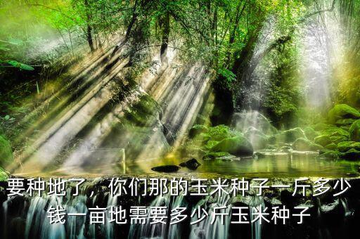 要種地了，你們那的玉米種子一斤多少錢一畝地需要多少斤玉米種子