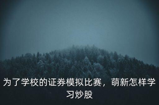 為了學校的證券模擬比賽，萌新怎樣學習炒股