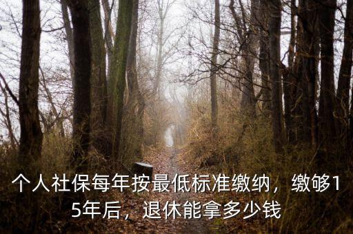 個人社保每年按最低標準繳納，繳夠15年后，退休能拿多少錢