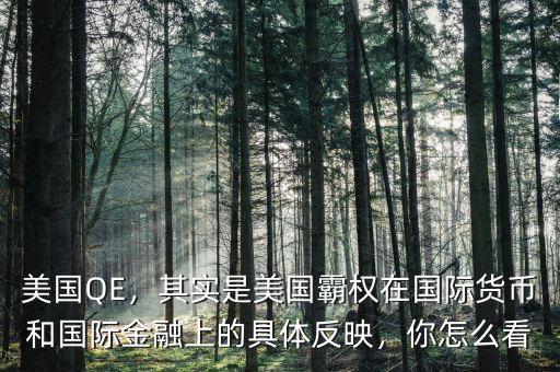 美國(guó)QE，其實(shí)是美國(guó)霸權(quán)在國(guó)際貨幣和國(guó)際金融上的具體反映，你怎么看