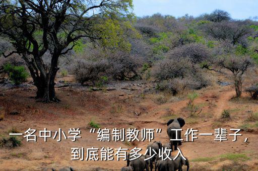 一名中小學(xué)“編制教師”工作一輩子，到底能有多少收入