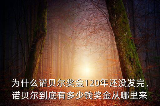為什么諾貝爾獎(jiǎng)金120年還沒發(fā)完，諾貝爾到底有多少錢獎(jiǎng)金從哪里來