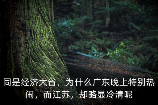 同是經(jīng)濟(jì)大省，為什么廣東晚上特別熱鬧，而江蘇，卻略顯冷清呢