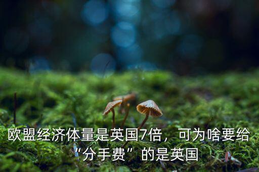 歐盟經濟體量是英國7倍，可為啥要給“分手費”的是英國