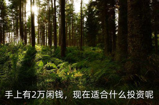 手上有2萬(wàn)閑錢(qián)，現(xiàn)在適合什么投資呢