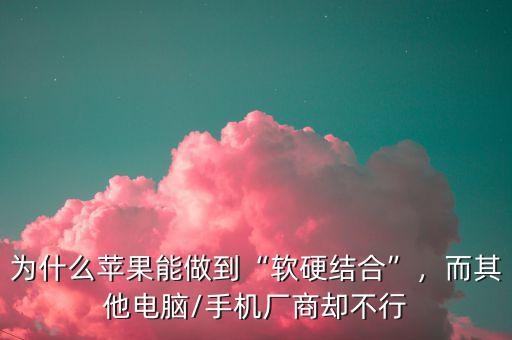 蘋果為什么能成功,為什么蘋果能做到軟硬結合