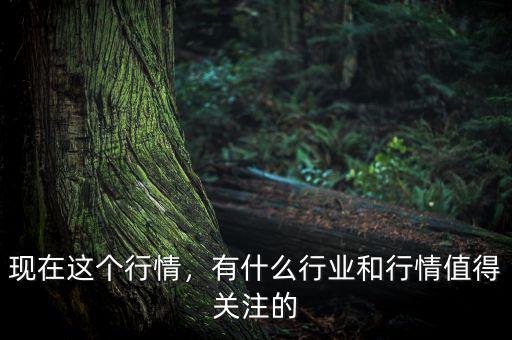 現(xiàn)在這個(gè)行情，有什么行業(yè)和行情值得關(guān)注的
