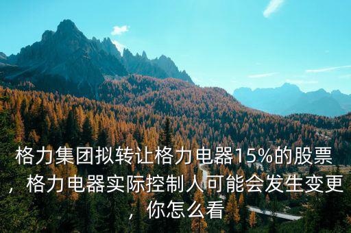 格力集團(tuán)擬轉(zhuǎn)讓格力電器15%的股票，格力電器實(shí)際控制人可能會(huì)發(fā)生變更，你怎么看