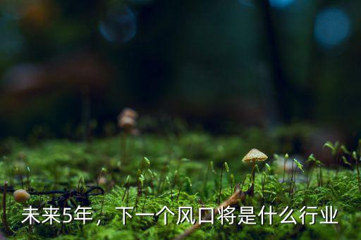 未來5年，下一個(gè)風(fēng)口將是什么行業(yè)