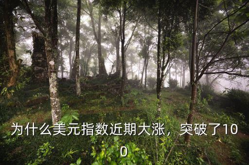 為什么美元指數(shù)近期大漲，突破了100