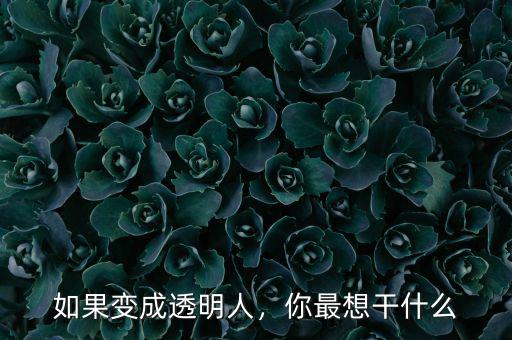 如果變成透明人，你最想干什么