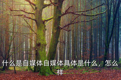 什么是自媒體自媒體具體是什么，怎么樣