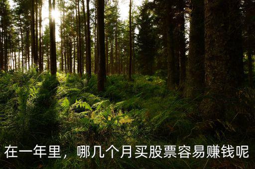 在一年里，哪幾個(gè)月買股票容易賺錢呢