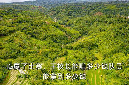 王思聰一年能賺多少錢,王校長(zhǎng)能賺多少錢
