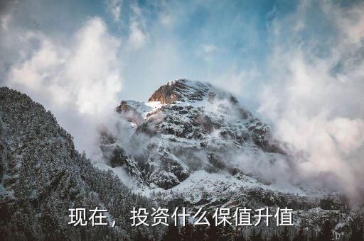 現(xiàn)在，投資什么保值升值