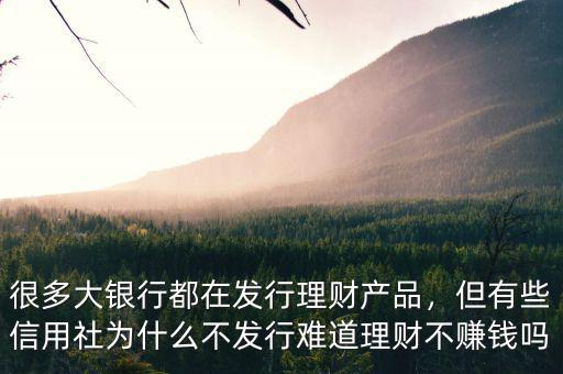 很多大銀行都在發(fā)行理財(cái)產(chǎn)品，但有些信用社為什么不發(fā)行難道理財(cái)不賺錢嗎
