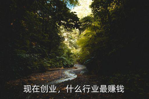 現(xiàn)在創(chuàng)業(yè)，什么行業(yè)最賺錢