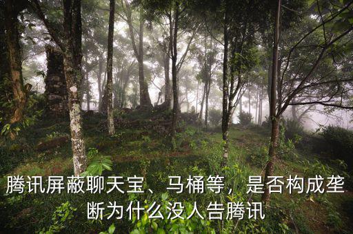 騰訊屏蔽聊天寶、馬桶等，是否構(gòu)成壟斷為什么沒(méi)人告騰訊
