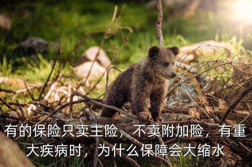 有的保險(xiǎn)只賣主險(xiǎn)，不賣附加險(xiǎn)，有重大疾病時(shí)，為什么保障會(huì)大縮水
