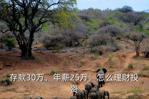 存款30萬(wàn)，年薪25萬(wàn)，怎么理財(cái)投資