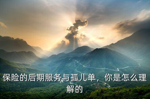 保險(xiǎn)的后期服務(wù)與孤兒?jiǎn)?，你是怎么理解? class=