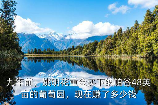 九年前，姚明花重金買(mǎi)下納帕谷48英畝的葡萄園，現(xiàn)在賺了多少錢(qián)