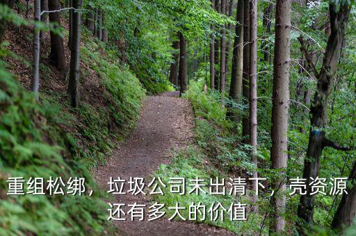 重組松綁，垃圾公司未出清下，殼資源還有多大的價(jià)值
