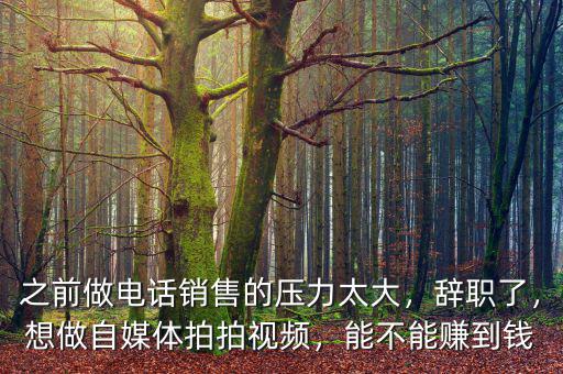 之前做電話銷(xiāo)售的壓力太大，辭職了，想做自媒體拍拍視頻，能不能賺到錢(qián)